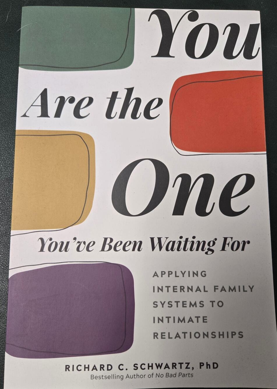 NEW You Are The One You've Been Waiting For by Richard Schwartz Paperback